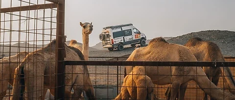 Ankunft in Yanbu: 40 Stunden wach – Zoll-Drama – und dann mitten rein in die Dakar-Welt (Bild 1 von 3)